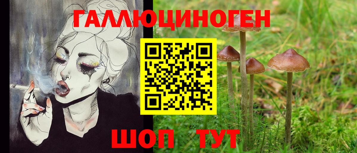 Псилоцибиновые грибы мухоморы Нурлат