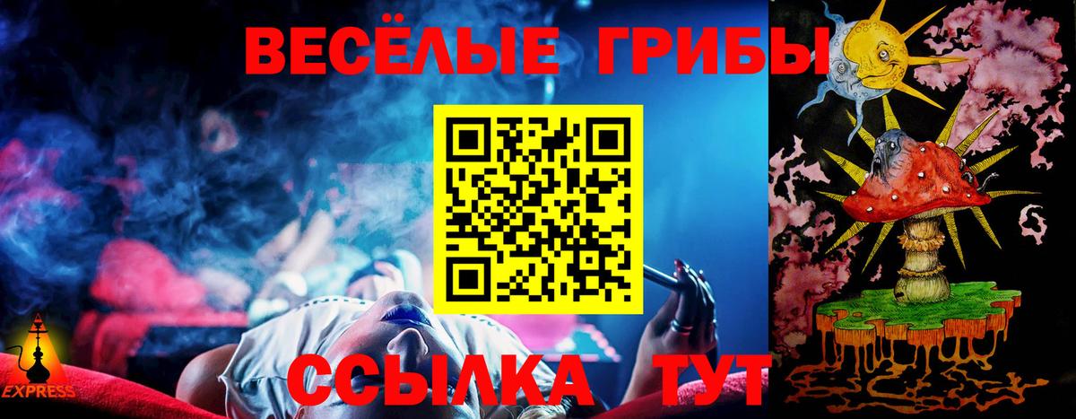 Нурлат  Псилоцибиновые грибы ЛСД  Вход с VPN  Галлюциногенные грибы мицелий 